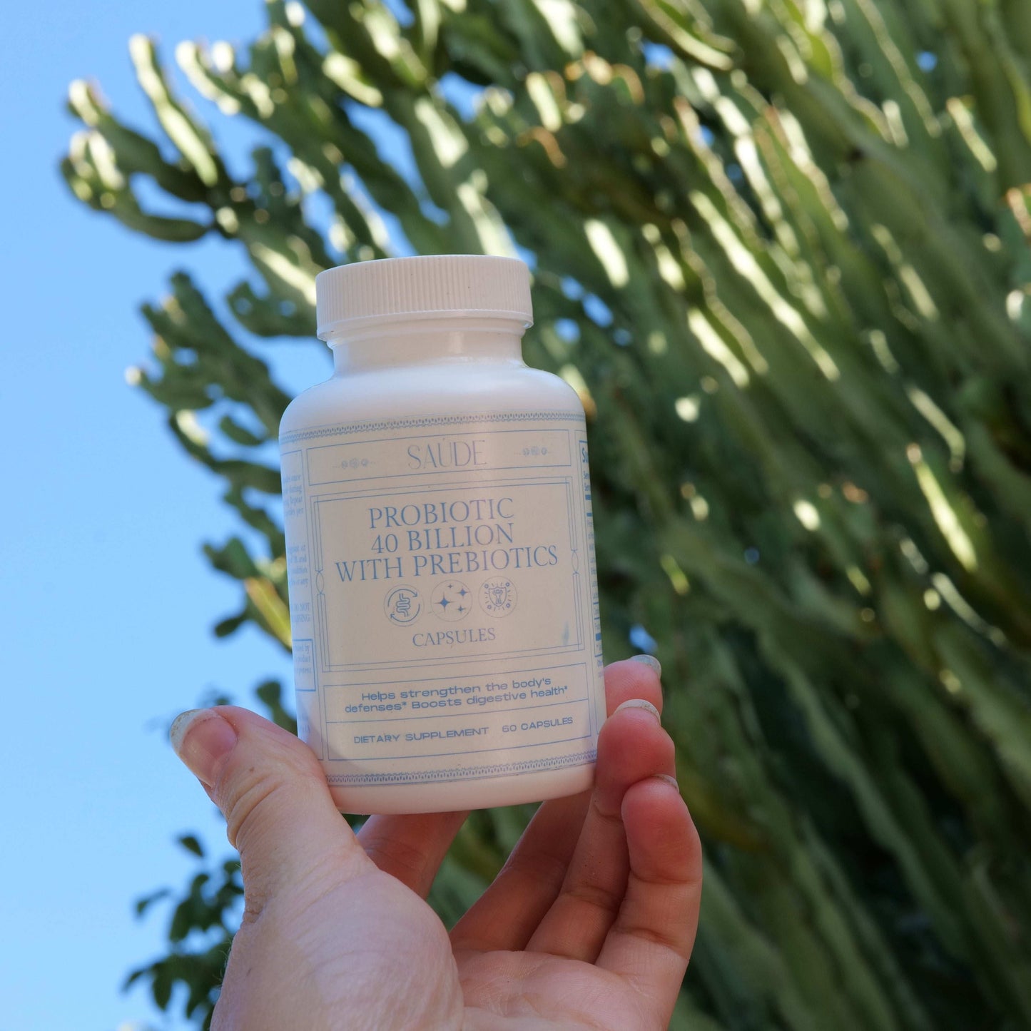 Probiotic for gut health