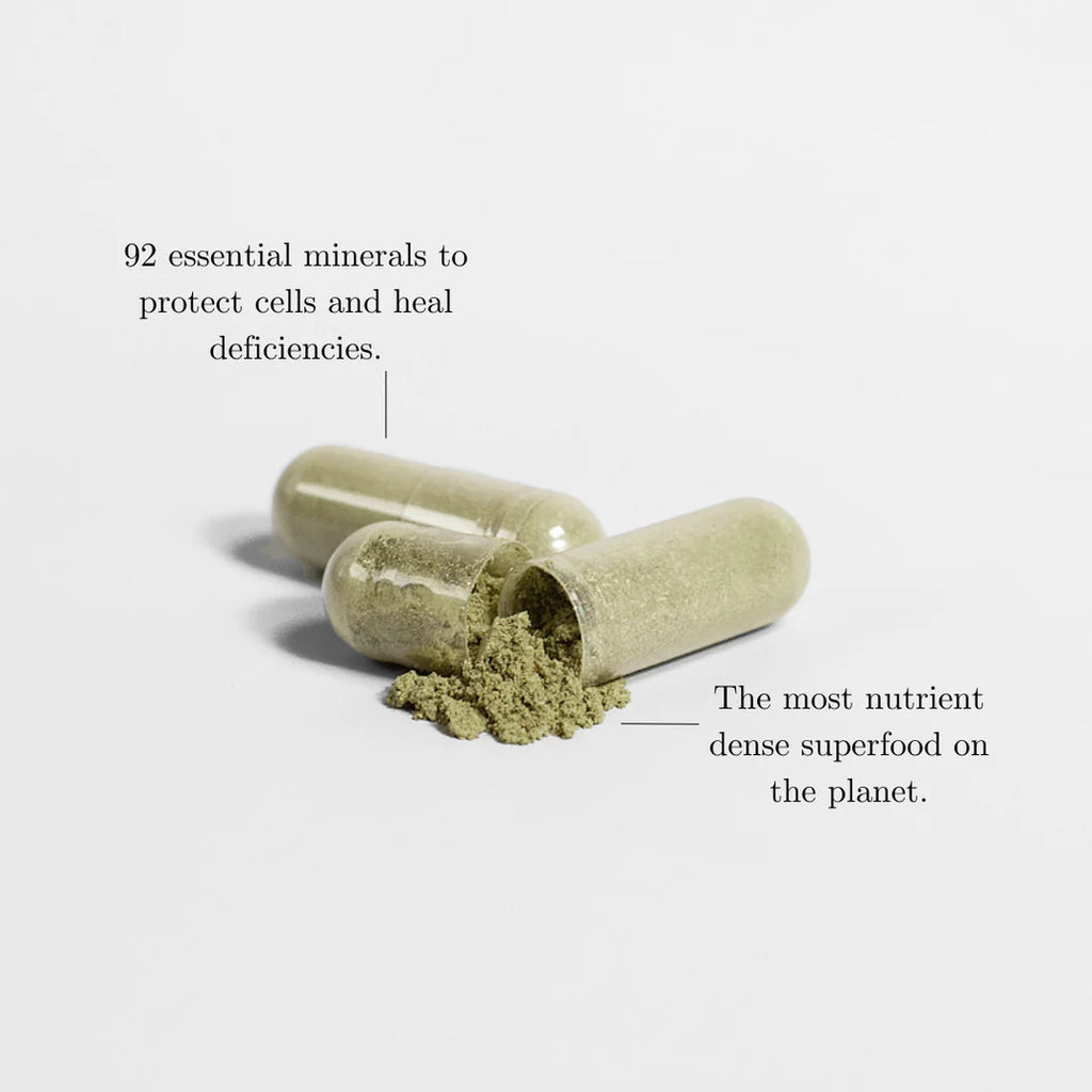 Moringa Pure