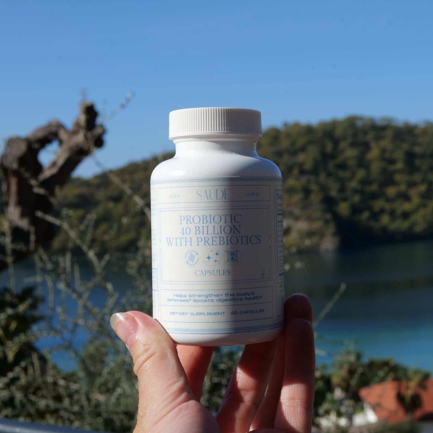 the best probiotic USA